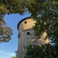 IMG_5574.