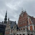 IMG_6006.
