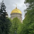 IMG_6011.