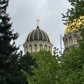 IMG_6012.