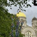 IMG_6013.