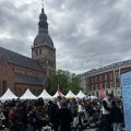 IMG_6031.
