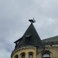 IMG_6032.