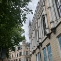 IMG_6034.