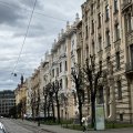 IMG_6039.