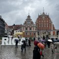 IMG_6050.