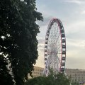 IMG_6492.