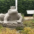 IMG_6499.