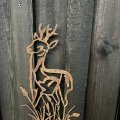 IMG_6500.