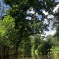 IMG_6544.