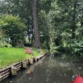 IMG_6546.