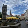 IMG_6549.