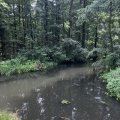 IMG_6553.