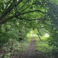 IMG_6564.