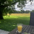 IMG_6567.