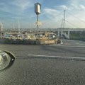 IMG_8683.