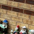 IMG_8713.