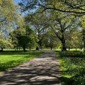 IMG_8735.