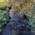 IMG_8758.
