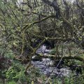IMG_8769.