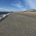 IMG_8778.