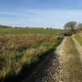 IMG_8801.