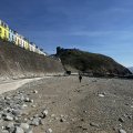 IMG_8806.