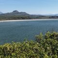 IMG_8811.