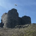 IMG_8812.