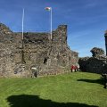 IMG_8817.