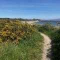 IMG_8824.