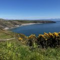 IMG_8848.