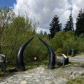 IMG_8865.