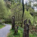 IMG_8867.
