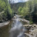 IMG_8875.