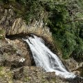 IMG_8877.