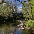 IMG_8881.