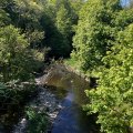 IMG_8901.
