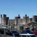 IMG_8905.