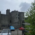 IMG_8919.