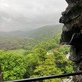 IMG_8921.