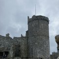 IMG_8923.