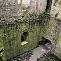 IMG_8925.