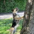 IMG_8937.