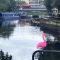 IMG_0500.