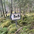 IMG_0521.