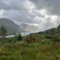 IMG_0540.
