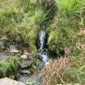 IMG_0543.