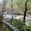 IMG_0555.