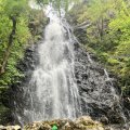IMG_0587.